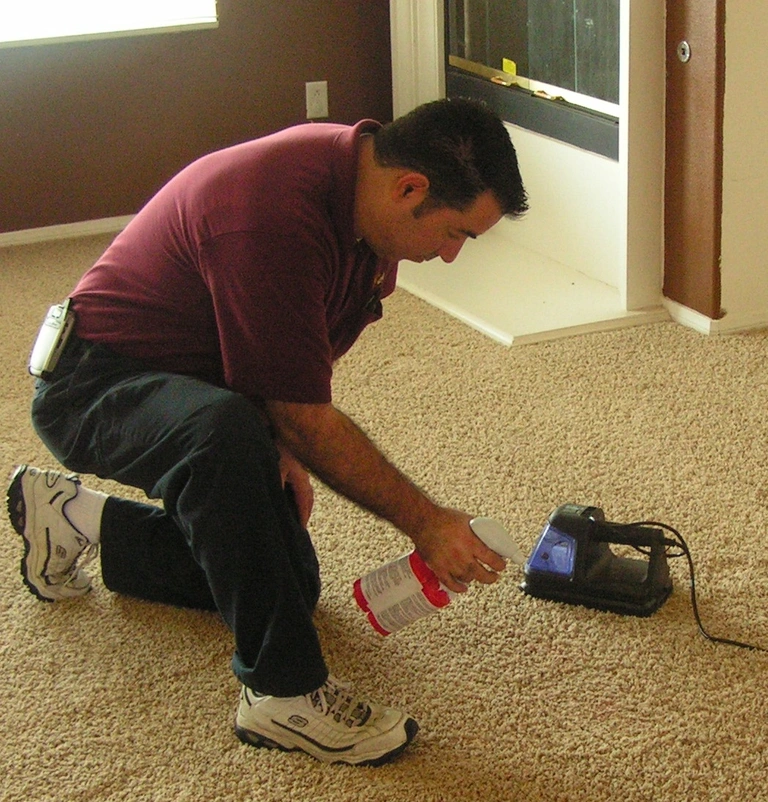 Carpet cleaning technician deep-cleaning a carpeted floor with portable equipment